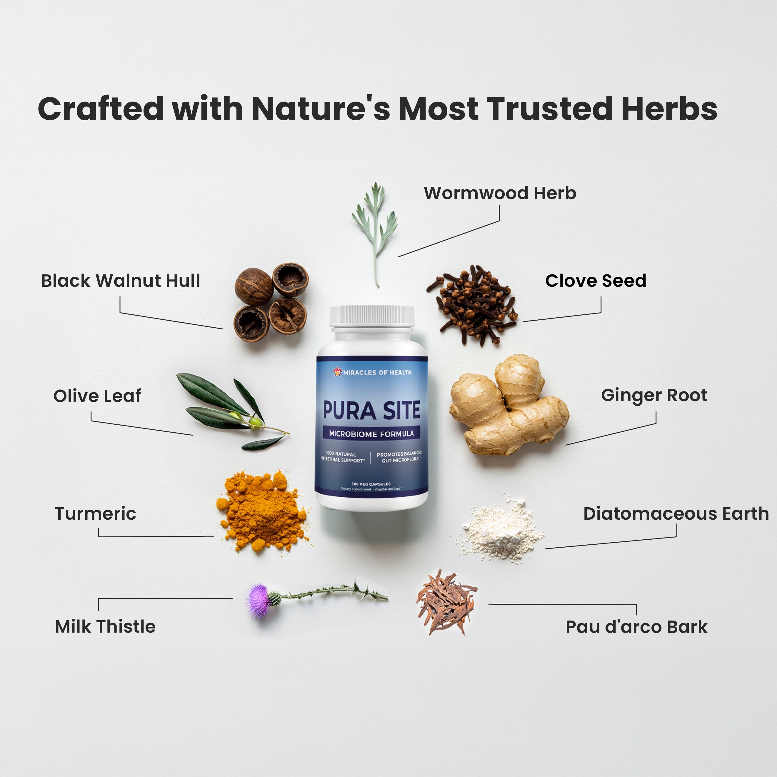 Pura Site | Microbiome Cleanse