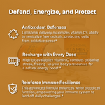 Load image into Gallery viewer, Liposomal Vitamin C
