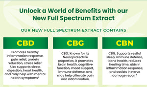 CBD Tri-Blend Gummies | Full Spectrum CBD, CBG, CBN | 1 Month Supply