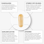Load image into Gallery viewer, Liposomal Vitamin C
